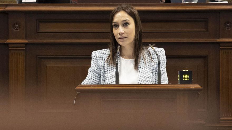 La diputada del GP Socialista Canario, Nira Fierro Díaz. EFE/Miguel Barreto