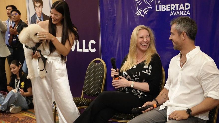 Chaco, San Luis, Salta y Jujuy van a las urnas con expectativas favorables para sus gobernadores dialoguistas