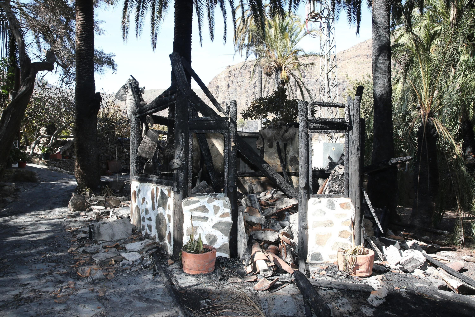 Así ha quedado el palmeral de Fataga tras el incendio declarado este sábado