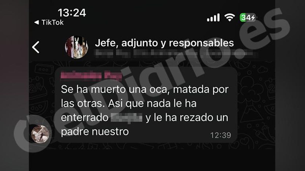 Grupo de WhatsApp de jefe, adjunto y responsables de animales