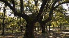 El PP rebaja la protección de los parques nacionales para que los terratenientes puedan cazar en ellos