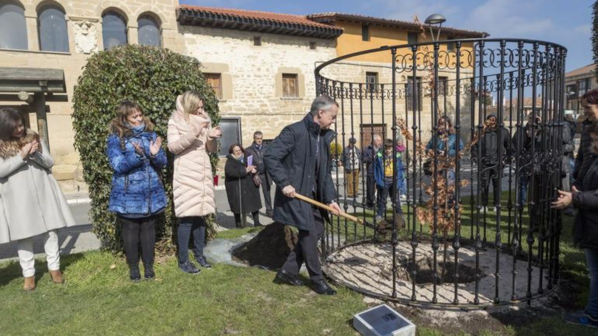 Urkullu, con el segundo retoño del árbol de Gernika