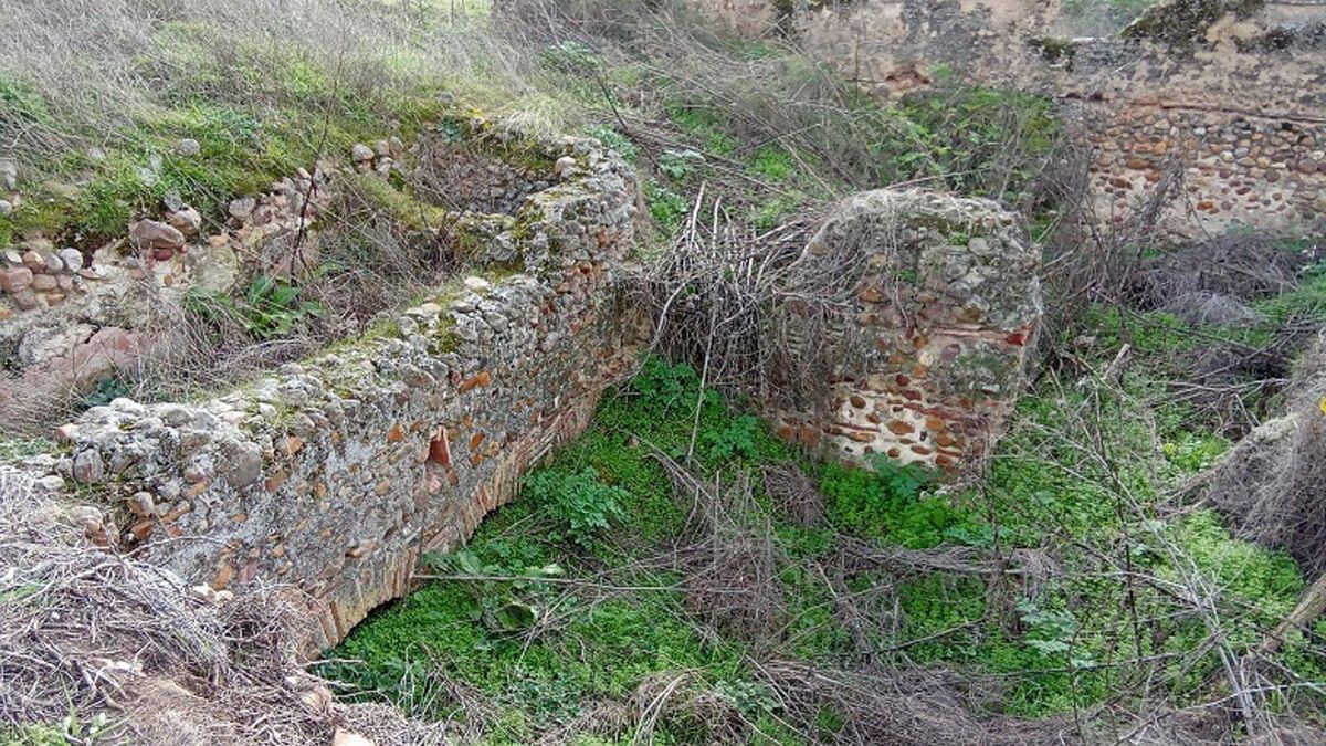 Alertan del "pésimo estado" de la villa romana de Las Tamujas, en la localidad toledana de Malpica de Tajo
