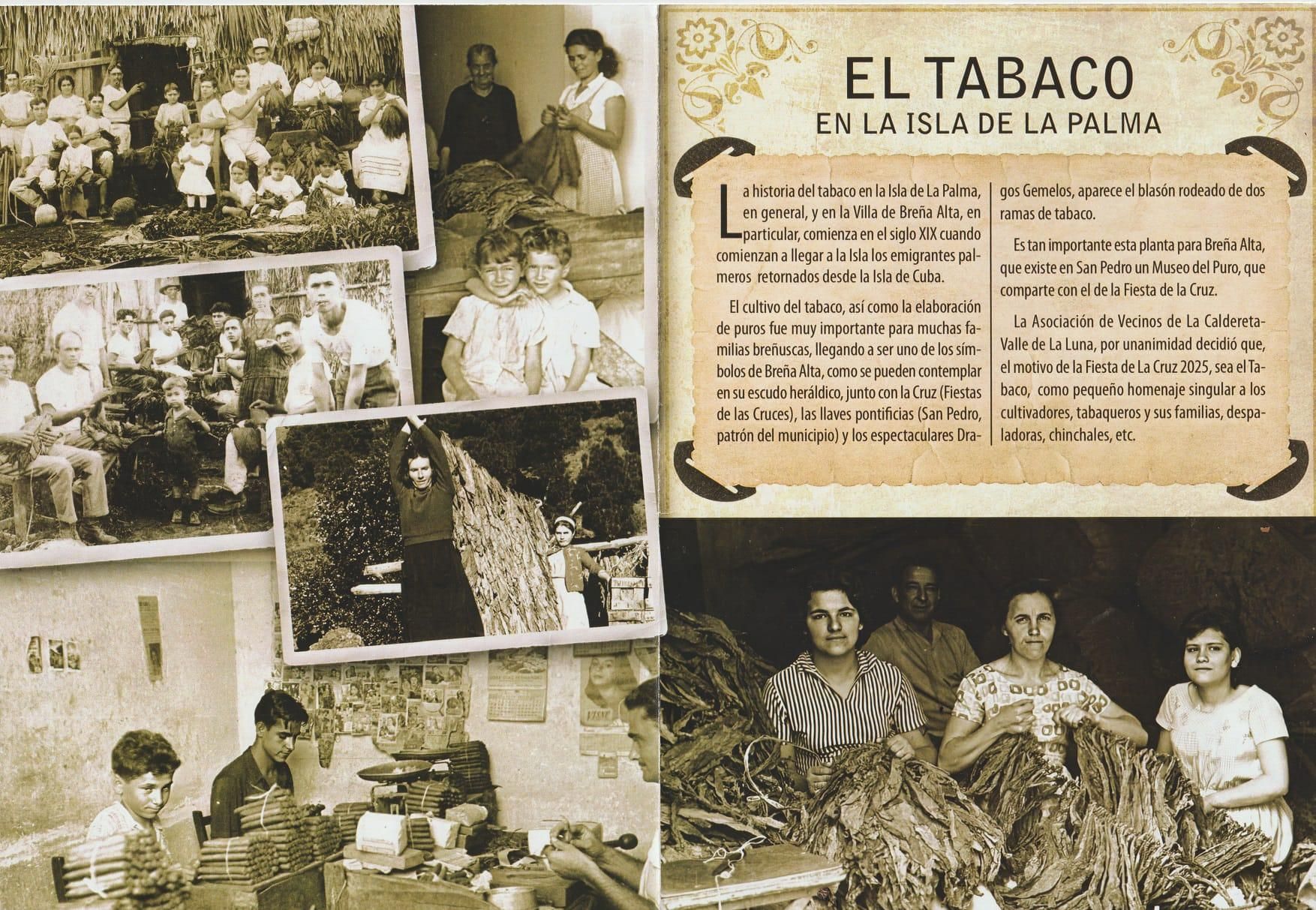 Paneles explicativos sobre la historia del tabaco en La Palma.