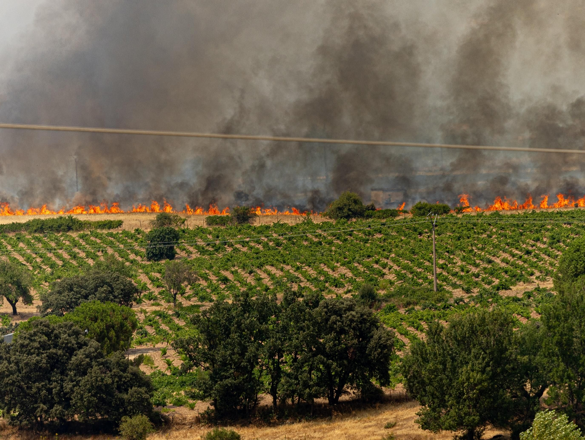 Vista del incendio forestal, a 25 de julio de 2026, en San Martín de Valdeiglesias, Madrid (España)