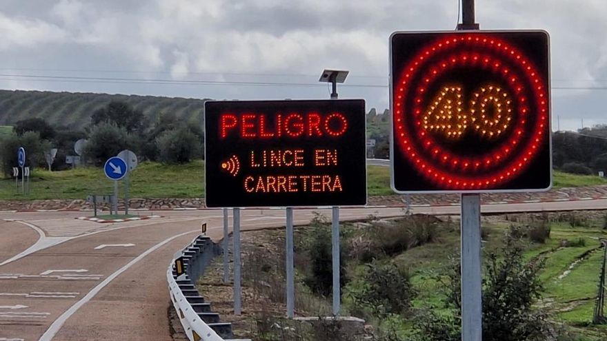 Señales de tráfico luminosas avisan a los conductores cuando los linces se acercan a las carreteras extremeñas