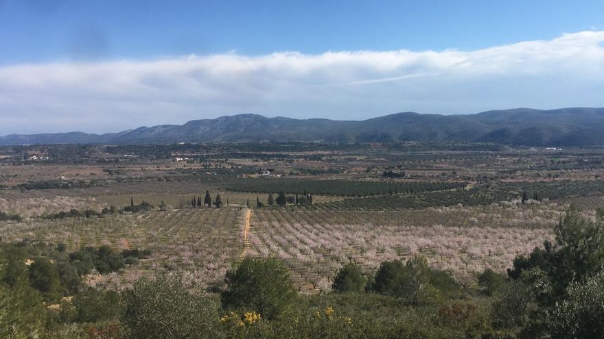 El Gobierno aprueba la megaplanta solar de la Magda en Castellón y la Generalitat lo recurre