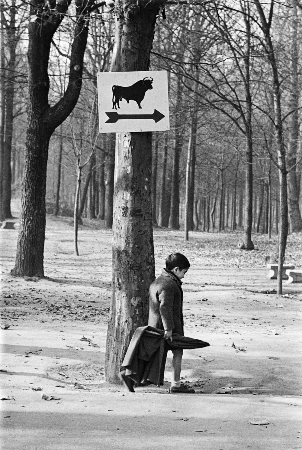 Casa de campo, Madrid, 1959 © Ramón Masats, VEGAP, Madrid, 2020.