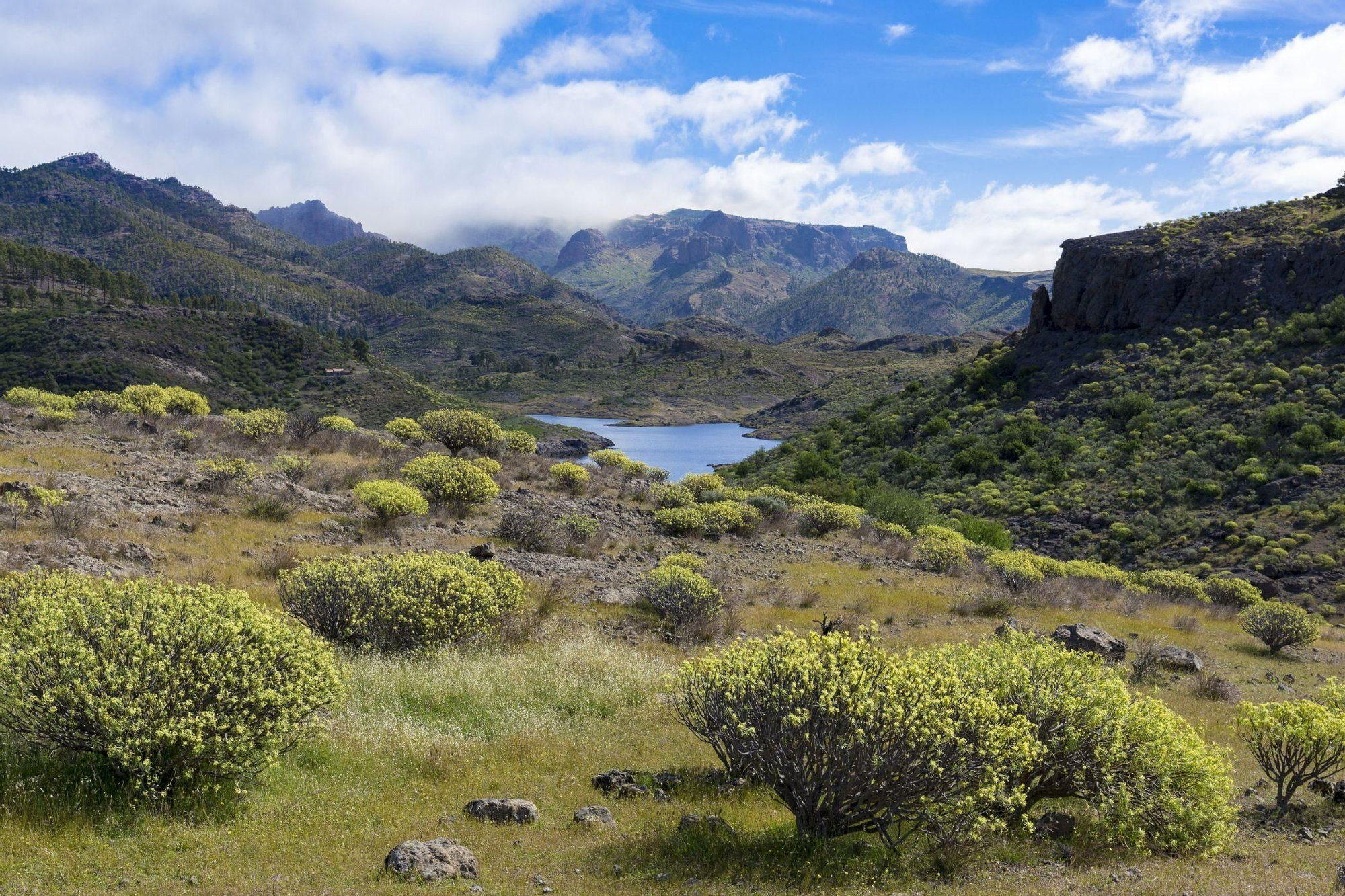Presa de Las Niñas, Tejeda