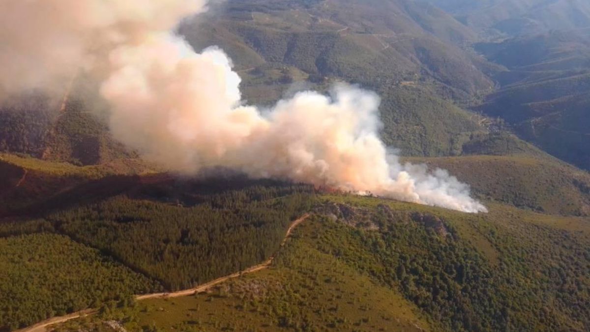 Imagen de archivo del origen de un incendio en montes de la provincia de León.