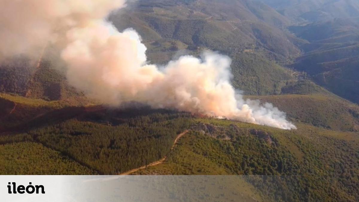Otro incendio forestal, directamente en nivel 1, se declara en la ...