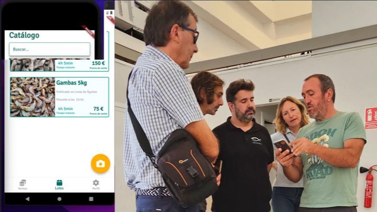 Montaje del aspecto que ven lo usuarios de la aplicación