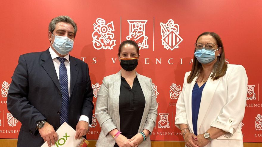 La deserción de una diputada de Vox deja vía libre a José María Llanos para hacerse con la portavocía en las Corts Valencianes