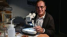 El ecólogo e investigador del CSIC, Pedro Jordano / @Csic