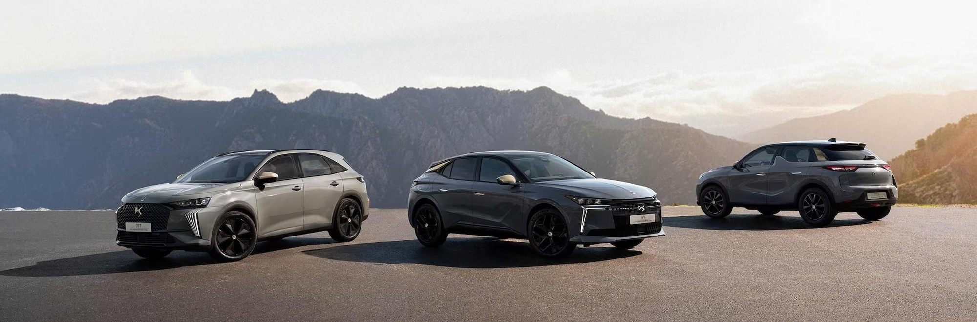 La gama completa DS Performance Line.