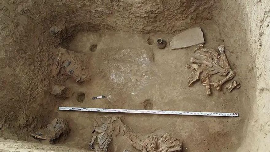 La arqueología destapa que los escitas sacrificaban caballos en plenitud física para acompañar a sus guerreros muertos
