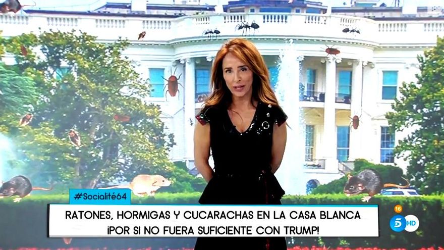 Socialité (Telecinco)