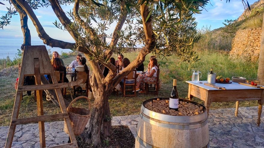 Día Mundial del Enoturismo: todos los tipos de uva que se cultivan en España