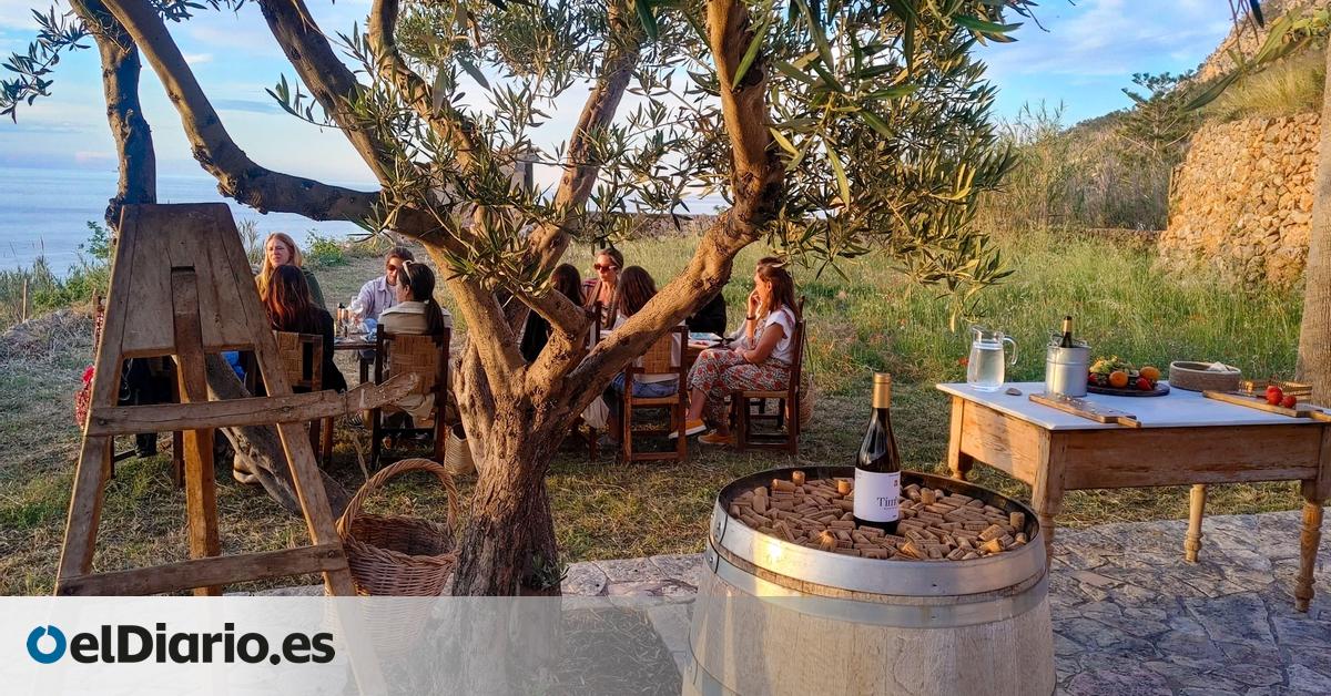 Día Mundial del Enoturismo: todos los tipos de uva que se cultivan en España