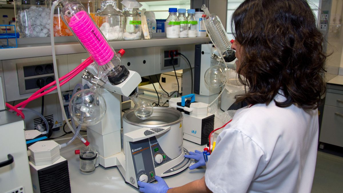 Investigadora de la ULPGC.