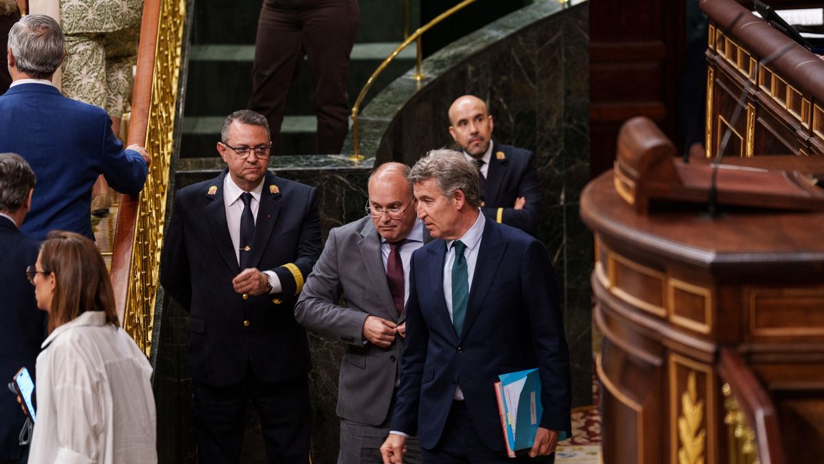 Núñez Feijóo, ¿insolvencia o mala fe?