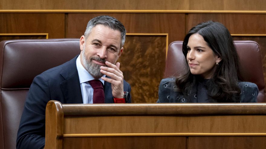 El presidente de Vox, Santiago Abascal, y la portavoz de Vox en el Congreso, Pepa Millán, durante una sesión plenaria, en el Congreso de los Diputados, a 12 de febrero de 2026, en Madrid (España).
