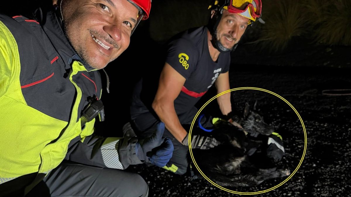 Los bomberos rescatan a un perro en la balsa de Cuatro Caminos