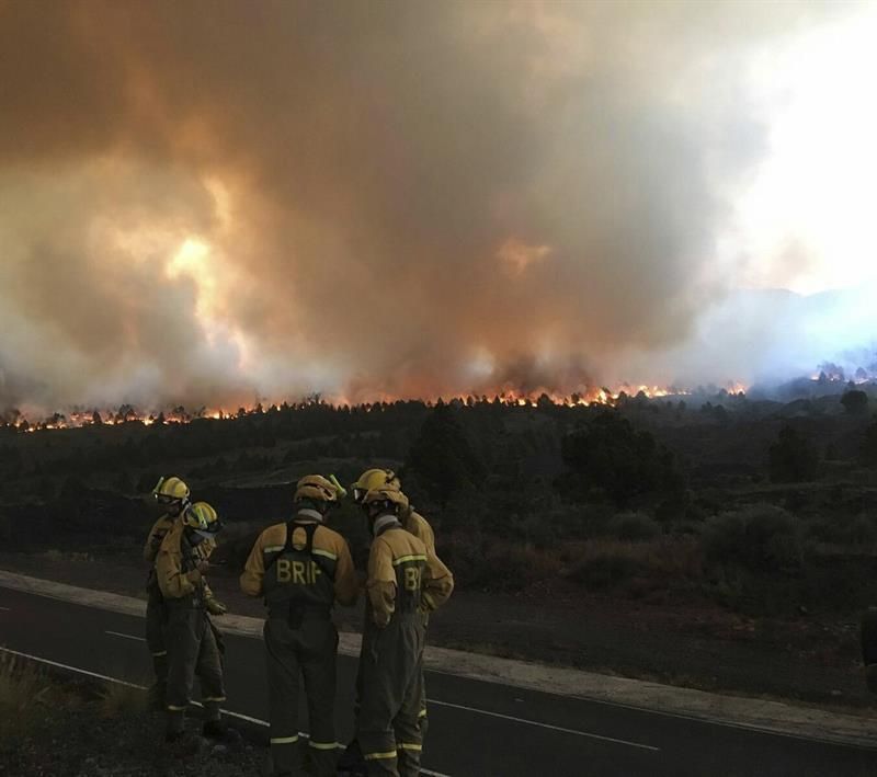 Incendio en La Palma. (Efe)