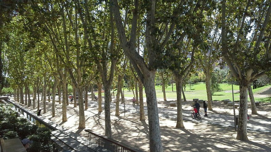 124 profesionales del urbanismo piden a Almeida que no autorice la tala de la arboleda histórica en Madrid Río