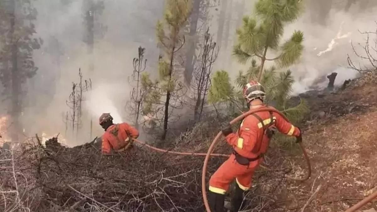 Imagen de archivo de un incendio forestal en La Palma.