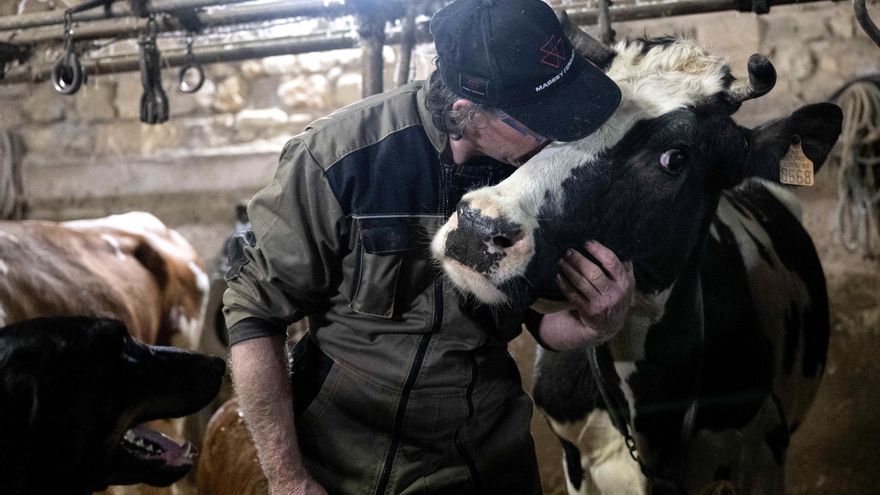 'Insurrección animal', la rebelión de los animales contra la domesticación humana