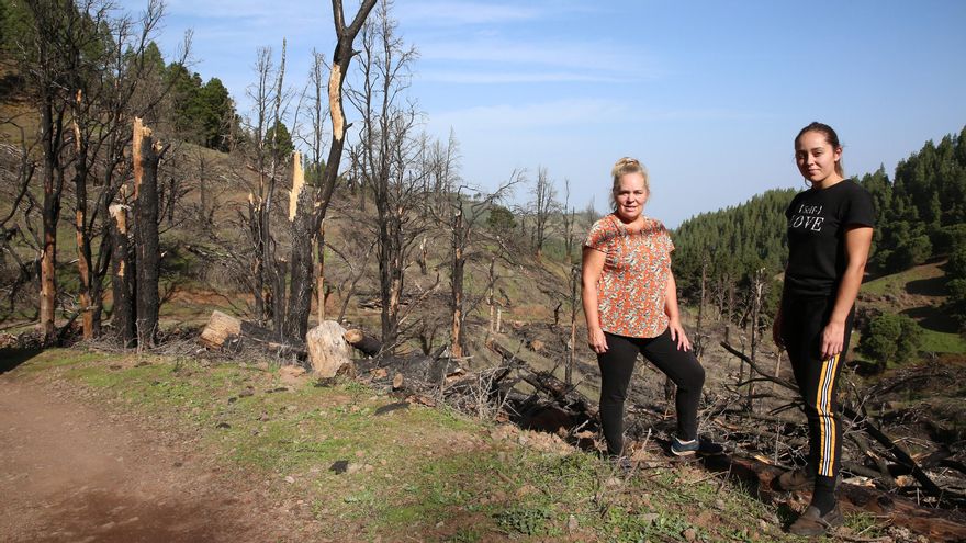 Las secuelas del incendio de Gran Canaria de 2019 todavía quitan el sueño a una de las queserías más importantes de la isla