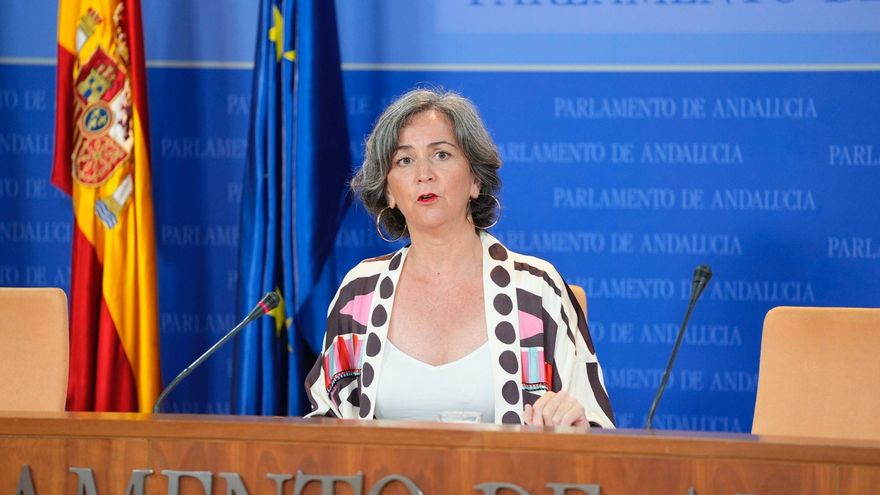 La parlamentaria de Adelante Andalucía Begoña Iza, en rueda de prensa.
