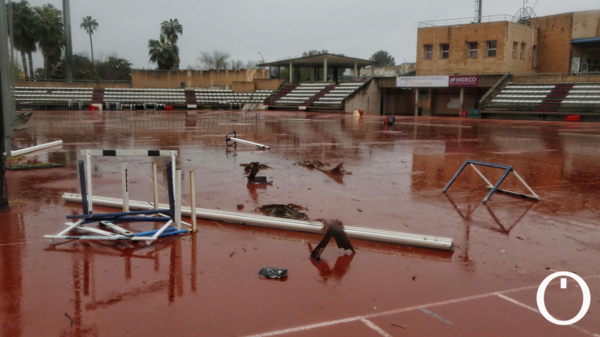 Destrozos del viento en El Fontanar