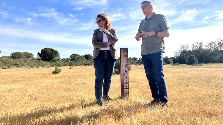 Teresa Ribera afila su lado político: la agenda verde se coloca a la cabeza de la lista electoral