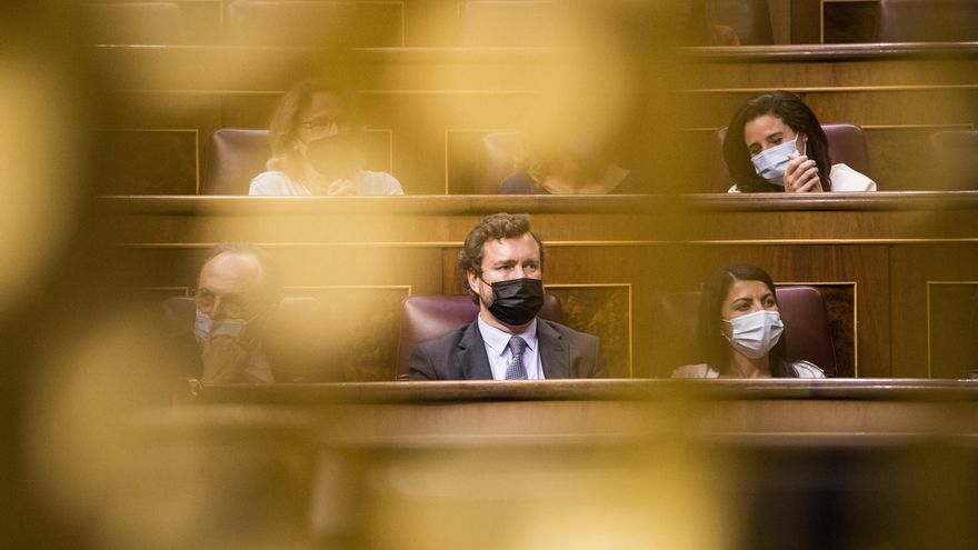 El portavoz de Vox en el Congreso, Iván Espinosa de los Monteros, durante una sesión plenaria en el Congreso de los Diputados.