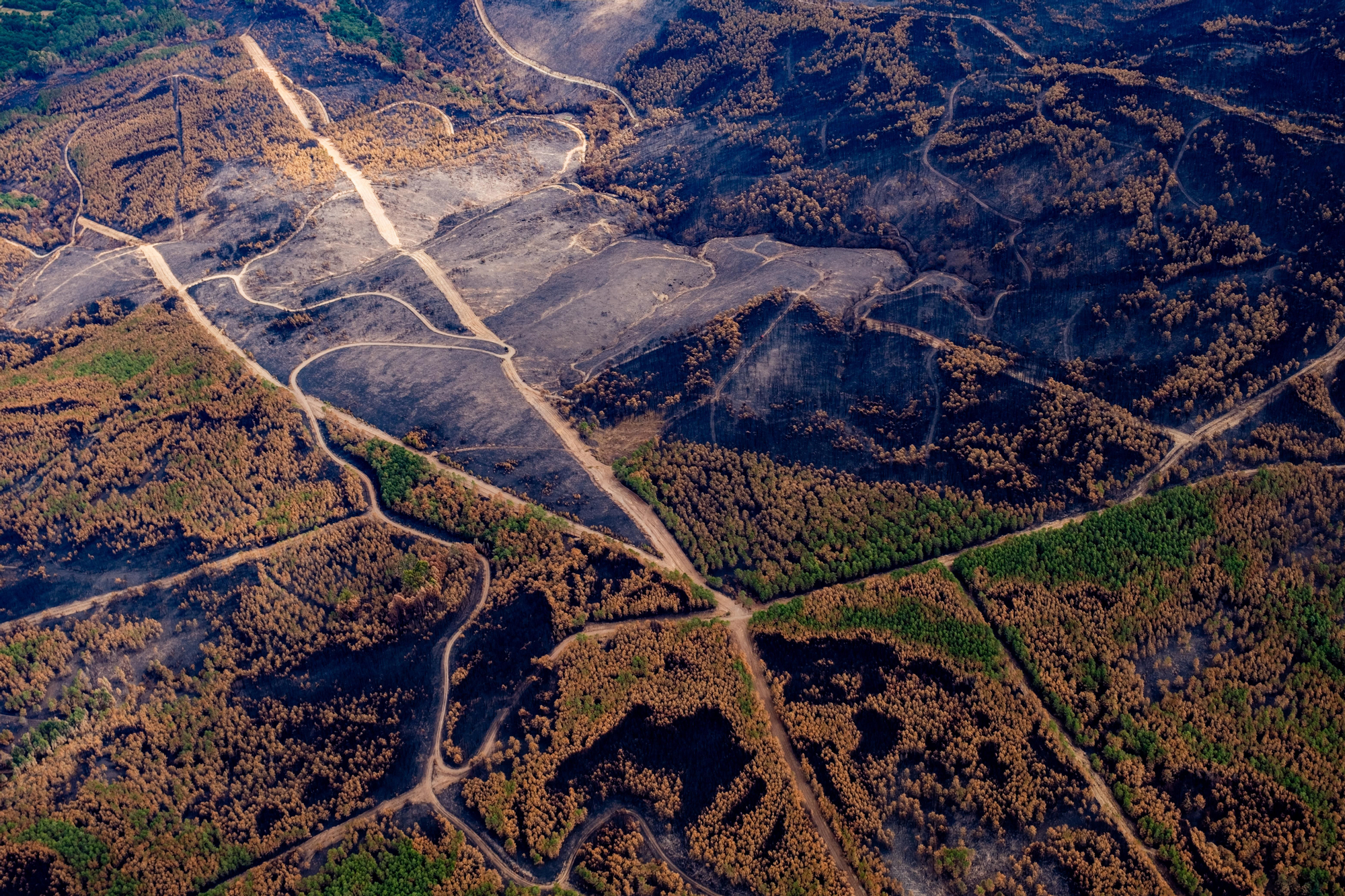 30 agosto 2025. Laza. Ourense. Greenpeace/ Pedro Armestre