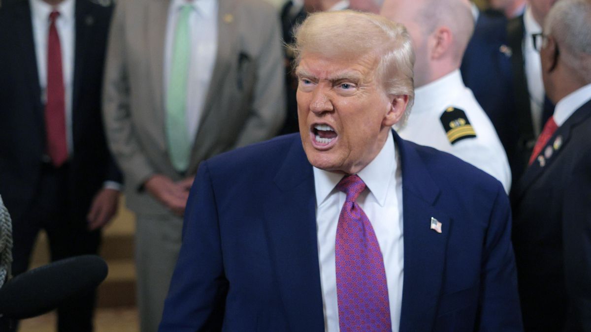 Detenciones arbitrarias, deshumanización del rival y atentados políticos: el cada vez más oscuro país de Trump