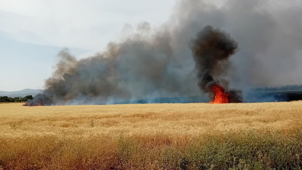 La falta de mantenimiento de una línea eléctrica, causa de un incendio que quemó 25 hectáreas en junio