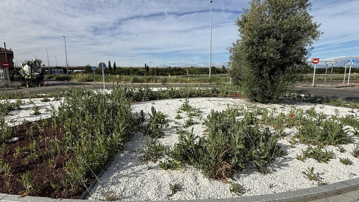 El PP denigra que el gasto de 358.000 euros en decorar 'más leonesas' rotondas de León acabe en hierbajos