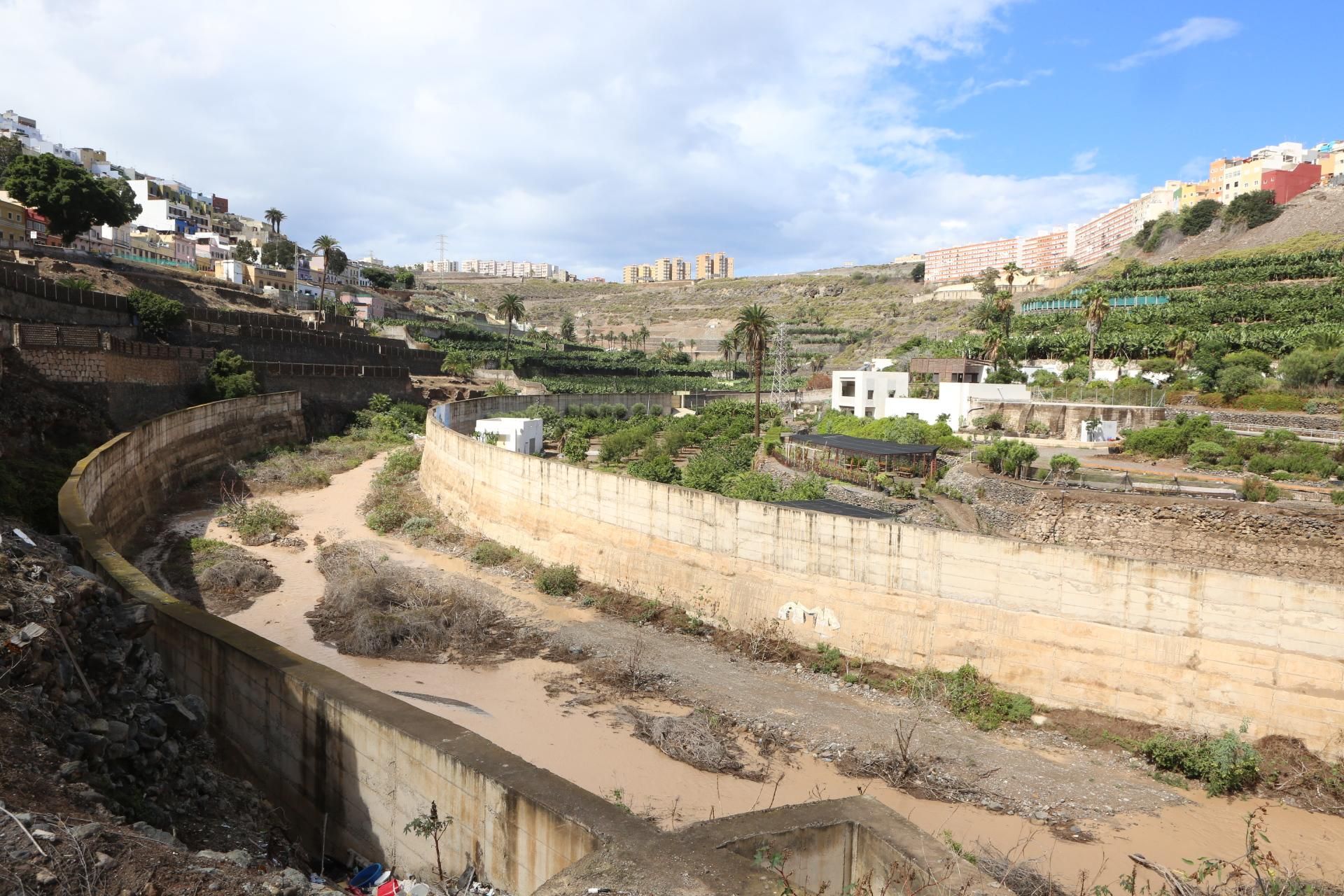Barranco del Guiniguada (ALEJANDRO RAMOS)
