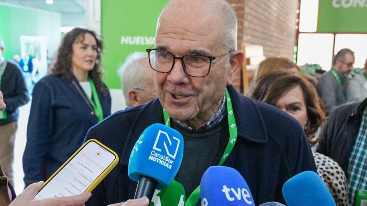 El Supremo no ve prevaricación en los magistrados del Constitucional que anularon la condena a Chaves por los ERE