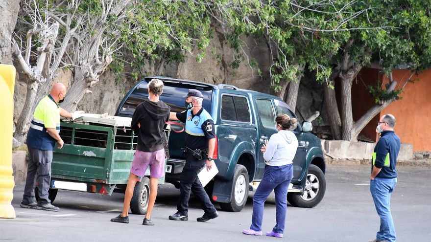 Confiscados en unos apartamentos de Mogán seis perros de razas catalogadas como potencialmente peligrosas