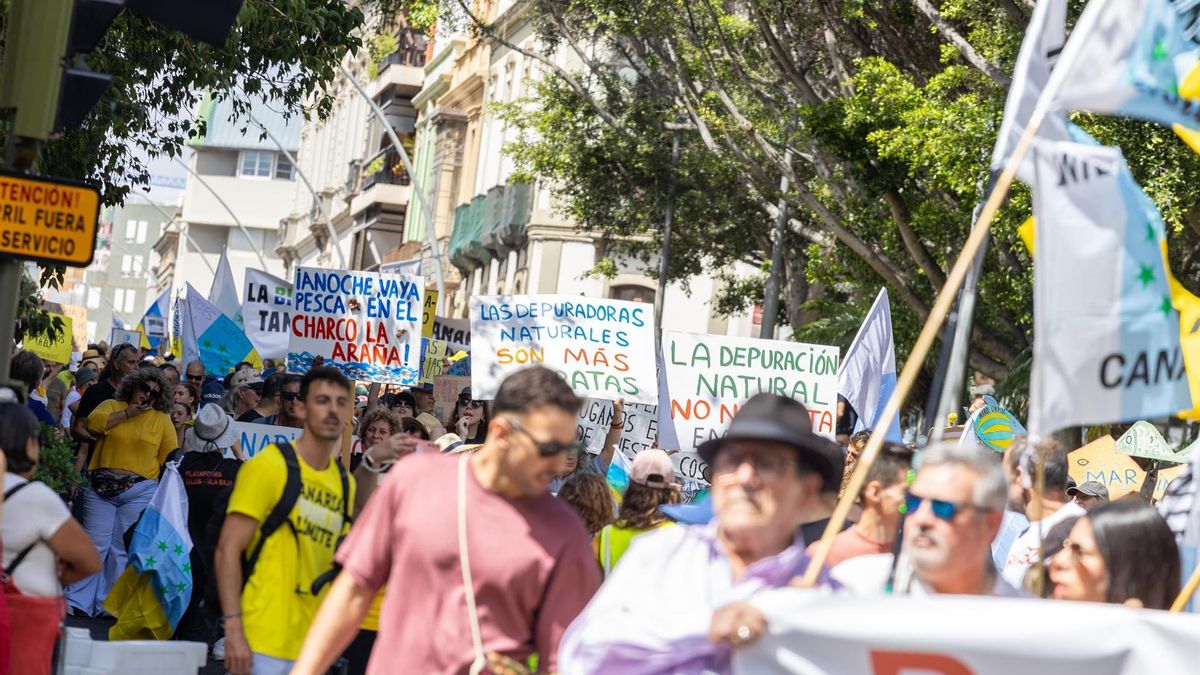 Manifestación del 18M, recorriendo las calles de Santa Cruz de Tenerife.
