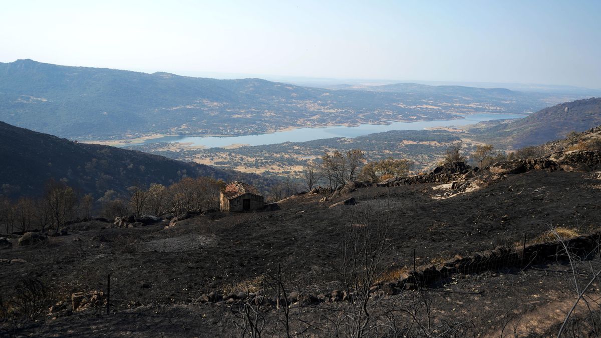 Asaja Extremadura cuantifica en más de 5 millones las pérdidas por los incendios forestales en la región
