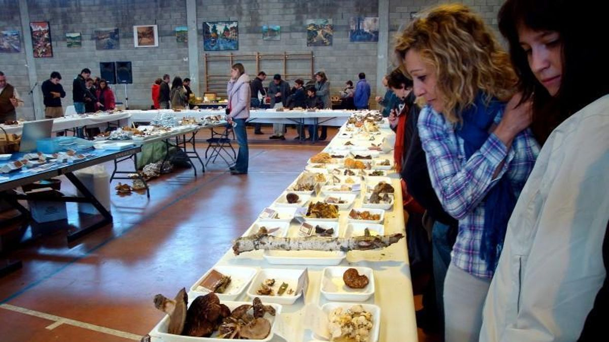 Sin setas y sin turistas: el cambio climático amenaza la economía rural de Aragón