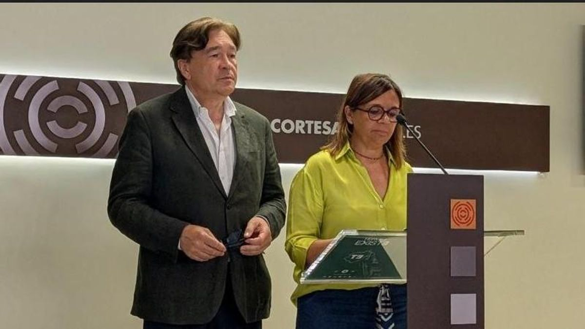 Teruel Existe denuncia la reactivación de los macroparques eólicos del Matarraña: "Lo intentan colar por la puerta de atrás"