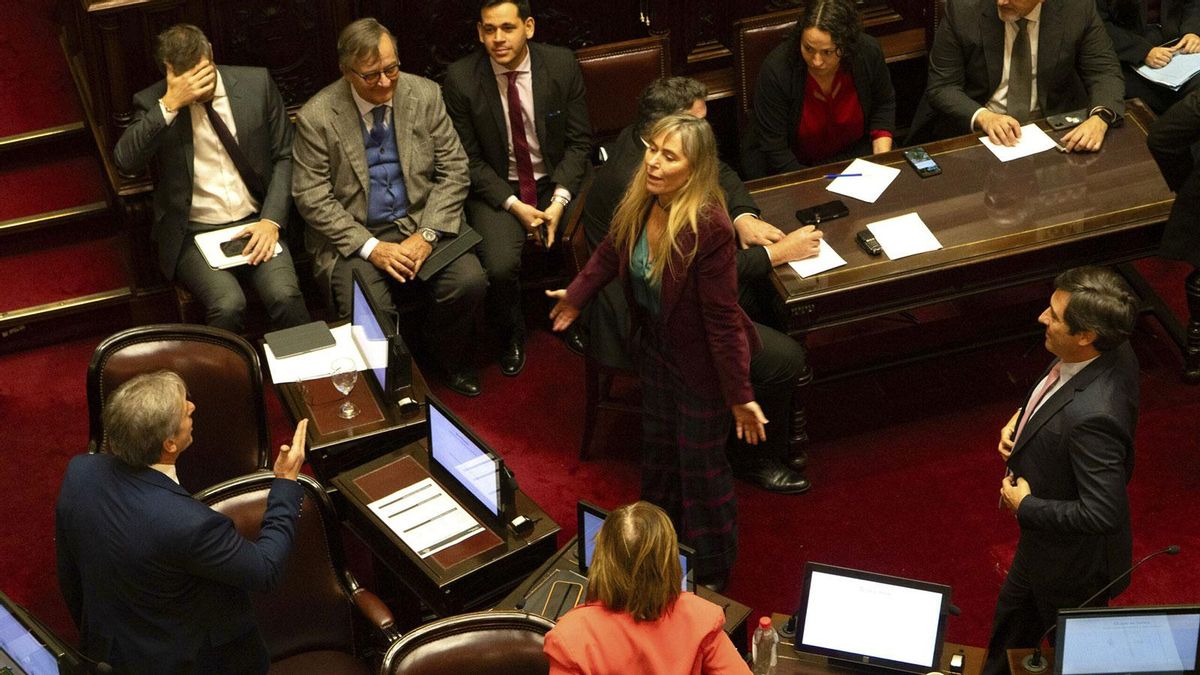 Postergaron el debate sobre la “inviolabilidad” de la propiedad privada en el Senado