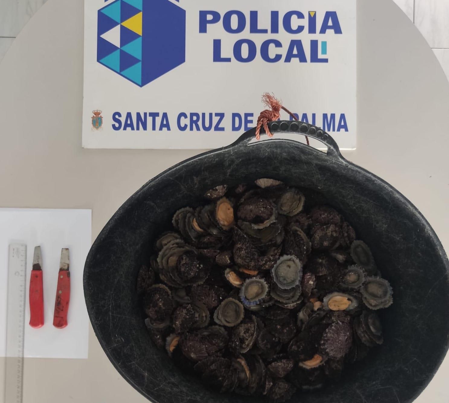 En la imagen, las lapas incautadas.