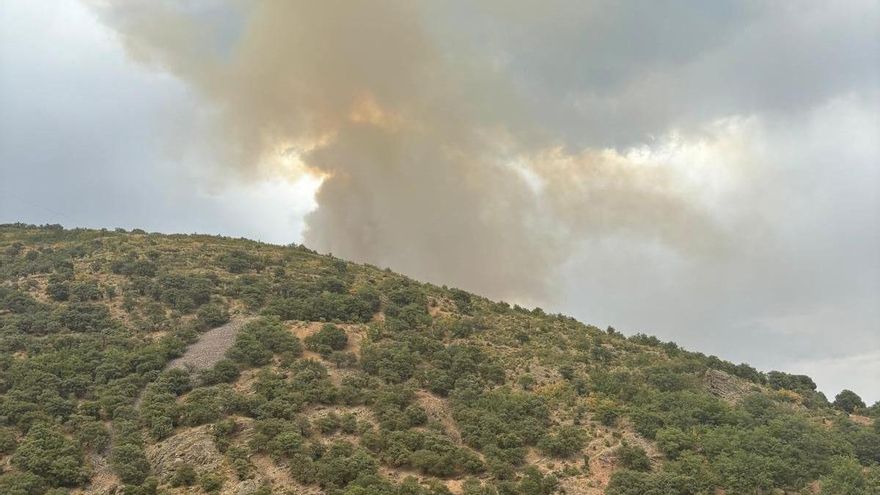 Extinguido el incendio de Mansilla, el único que quedaba activo en La Rioja